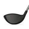 Wilson Dynapower Titanium Lady Driver