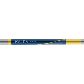 Kalea Gold Irons Lady