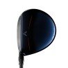 Callaway Big Bertha B21